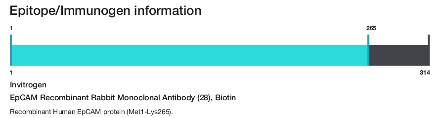 EpCAM Recombinant Rabbit Monoclonal Antibody (28), Biotin