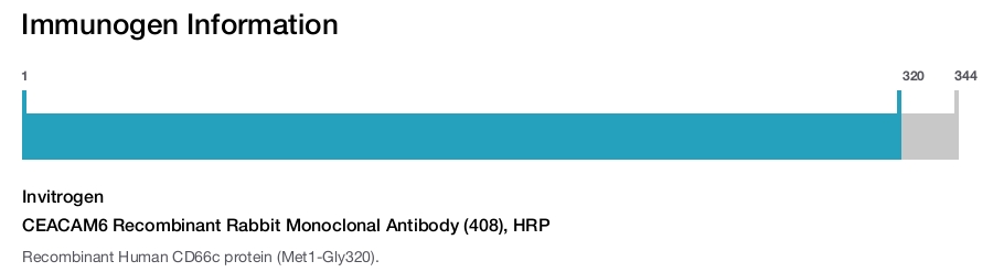 CEACAM6 Recombinant Rabbit Monoclonal Antibody (408), HRP