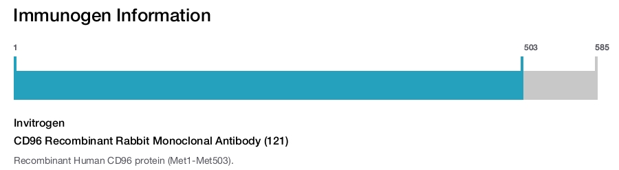 CD96 Recombinant Rabbit Monoclonal Antibody (121)