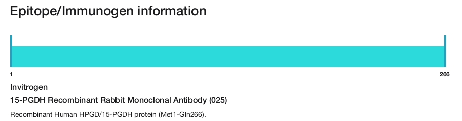 15-PGDH Recombinant Rabbit Monoclonal Antibody (025)