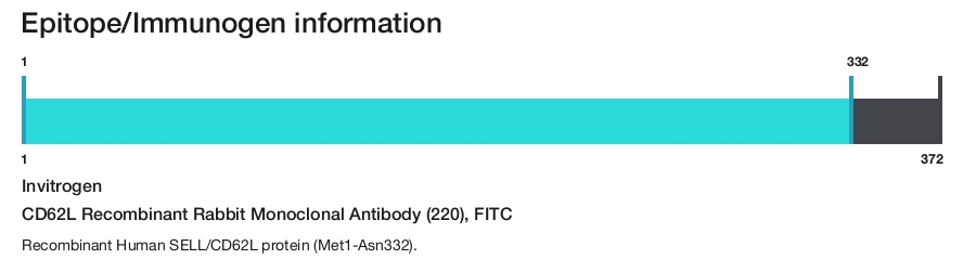 CD62L Recombinant Rabbit Monoclonal Antibody (220), FITC