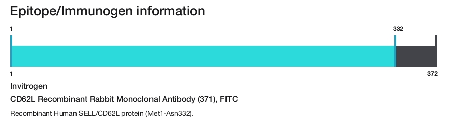 CD62L Recombinant Rabbit Monoclonal Antibody (371), FITC