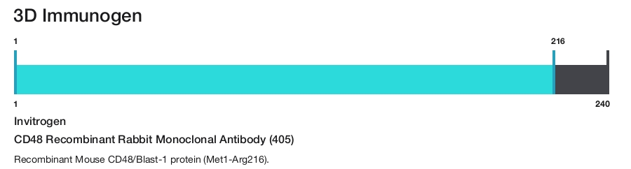 CD48 Recombinant Rabbit Monoclonal Antibody (405)