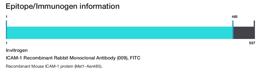 ICAM-1 Recombinant Rabbit Monoclonal Antibody (009), FITC