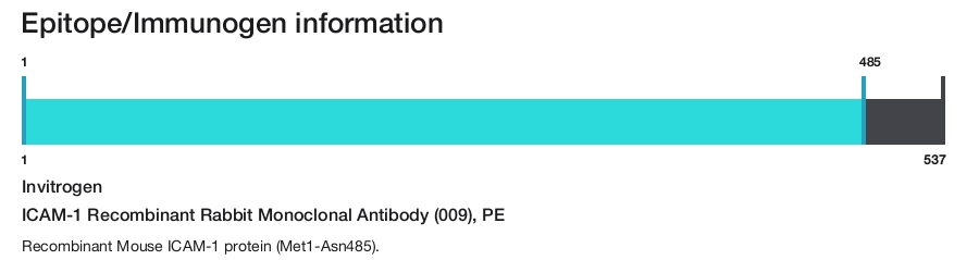 ICAM-1 Recombinant Rabbit Monoclonal Antibody (009), PE