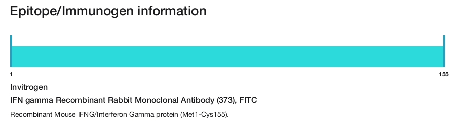 IFN gamma Recombinant Rabbit Monoclonal Antibody (373), FITC