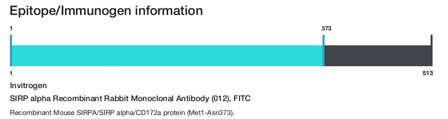 SIRP alpha Recombinant Rabbit Monoclonal Antibody (012), FITC