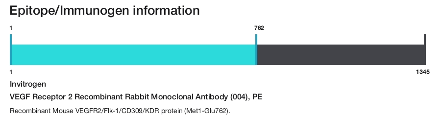 VEGF Receptor 2 Recombinant Rabbit Monoclonal Antibody (004), PE