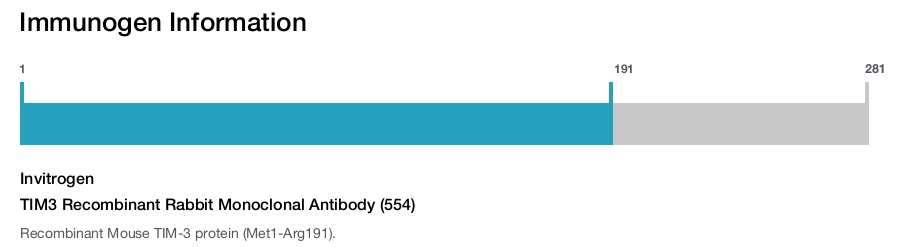 TIM3 Recombinant Rabbit Monoclonal Antibody (554)