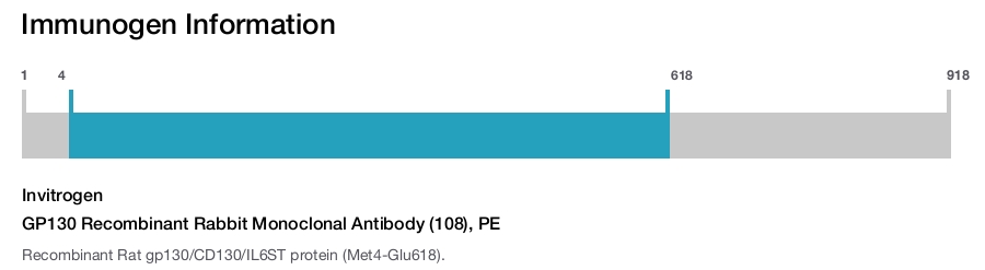 GP130 Recombinant Rabbit Monoclonal Antibody (108), PE