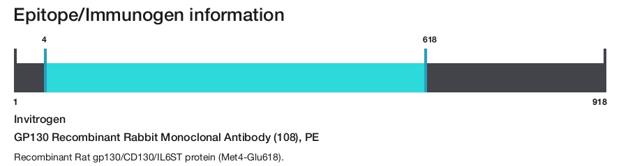 GP130 Recombinant Rabbit Monoclonal Antibody (108), PE