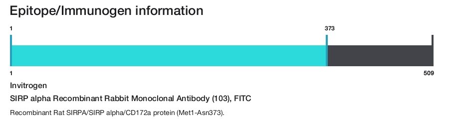 SIRP alpha Recombinant Rabbit Monoclonal Antibody (103), FITC