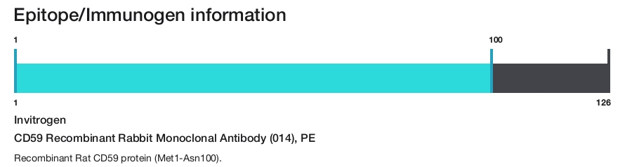 CD59 Recombinant Rabbit Monoclonal Antibody (014), PE