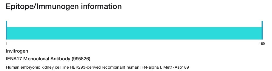 IFNA17 Monoclonal Antibody (995826)