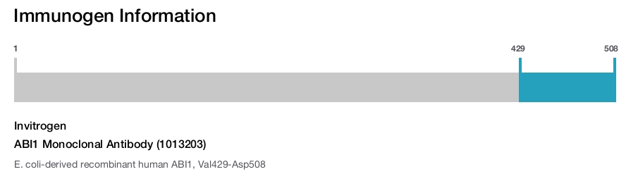 ABI1 Monoclonal Antibody (1013203)