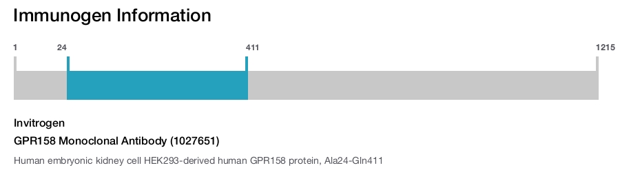GPR158 Monoclonal Antibody (1027651)