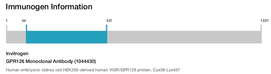 GPR126 Monoclonal Antibody (1044430)