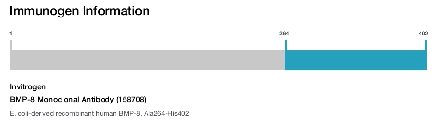 BMP-8 Monoclonal Antibody (158708)