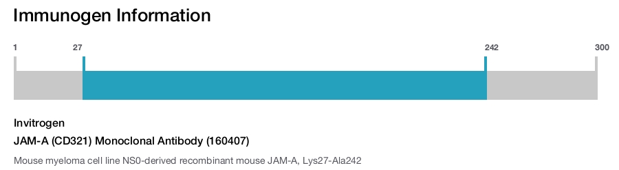 JAM-A (CD321) Monoclonal Antibody (160407)