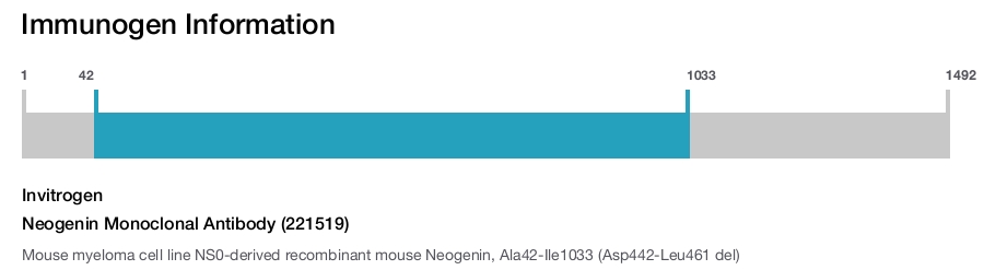 Neogenin Monoclonal Antibody (221519)