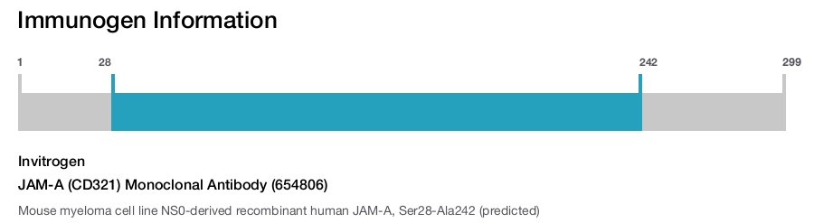 JAM-A (CD321) Monoclonal Antibody (654806)