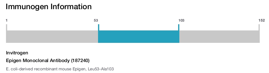 Epigen Monoclonal Antibody (187240)