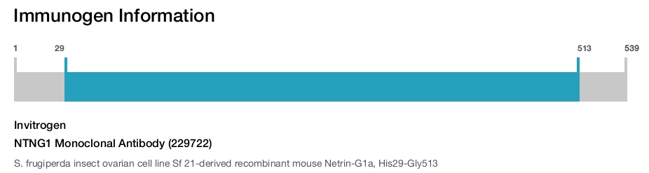 NTNG1 Monoclonal Antibody (229722)