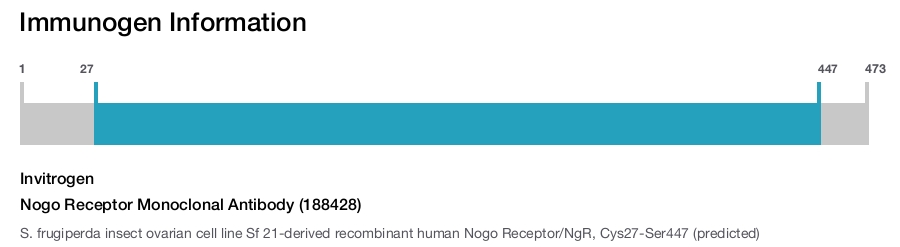 Nogo Receptor Monoclonal Antibody (188428)
