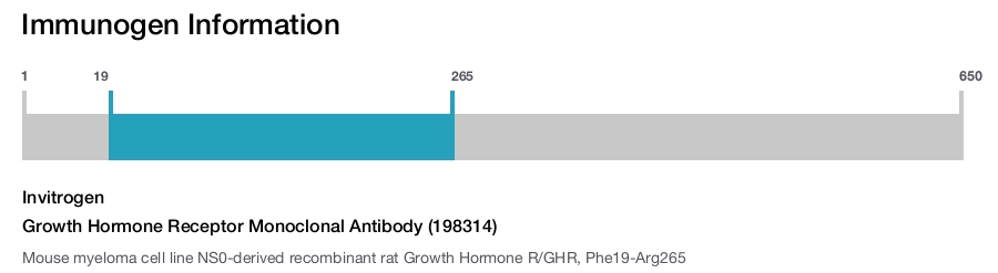 Growth Hormone Receptor Monoclonal Antibody (198314)