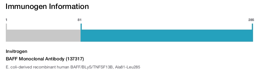 BAFF Monoclonal Antibody (137317)