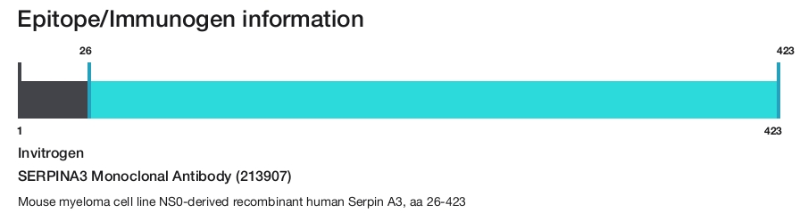 SERPINA3 Monoclonal Antibody (213907)