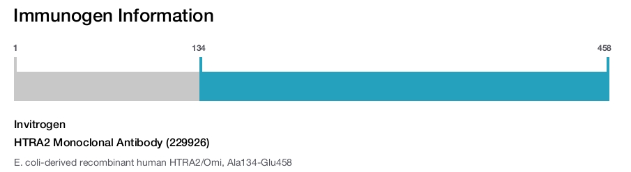 HTRA2 Monoclonal Antibody (229926)