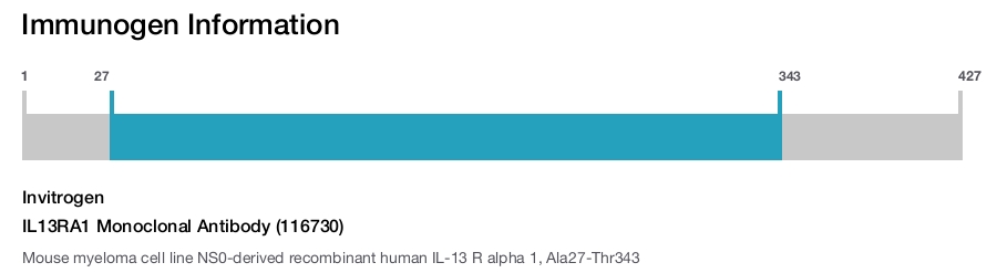 IL13RA1 Monoclonal Antibody (116730)