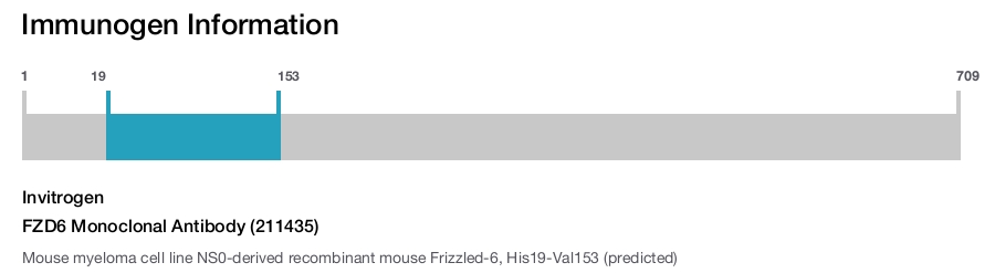 FZD6 Monoclonal Antibody (211435)