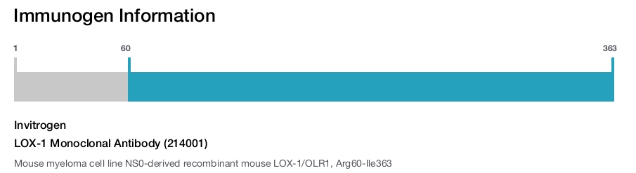 LOX-1 Monoclonal Antibody (214001)