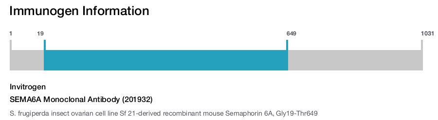 SEMA6A Monoclonal Antibody (201932)