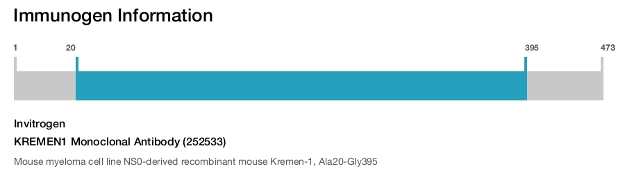 KREMEN1 Monoclonal Antibody (252533)