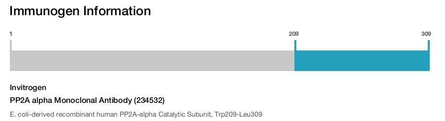 PP2A alpha Monoclonal Antibody (234532)