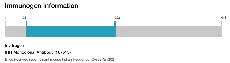 IHH Monoclonal Antibody (187515)