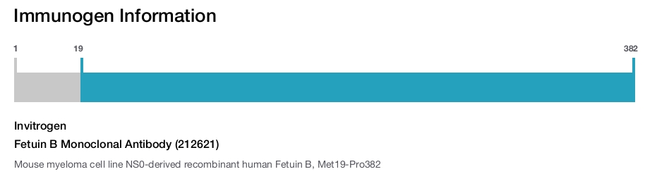 Fetuin B Monoclonal Antibody (212621)