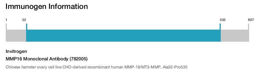 MMP16 Monoclonal Antibody (782005)