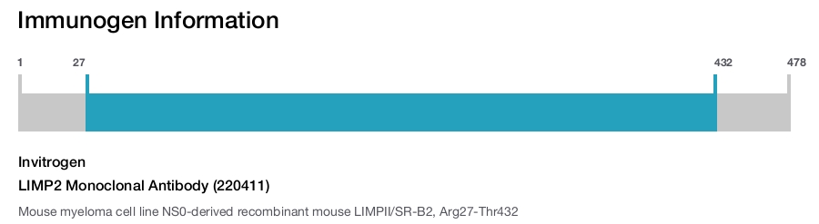 LIMP2 Monoclonal Antibody (220411)