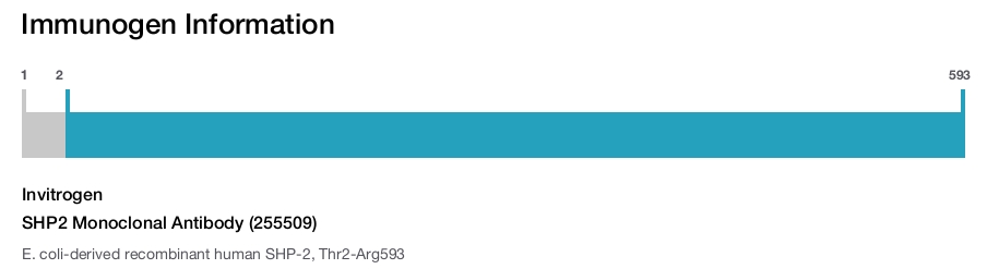 SHP2 Monoclonal Antibody (255509)