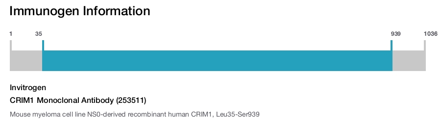 CRIM1 Monoclonal Antibody (253511)