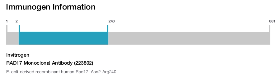 RAD17 Monoclonal Antibody (223802)