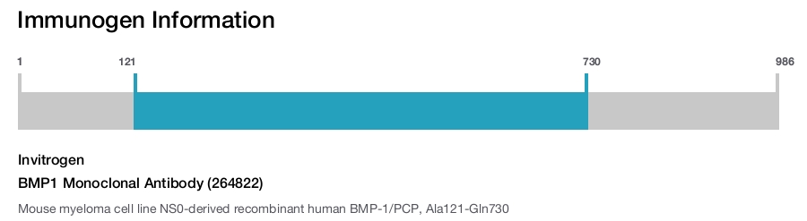 BMP1 Monoclonal Antibody (264822)
