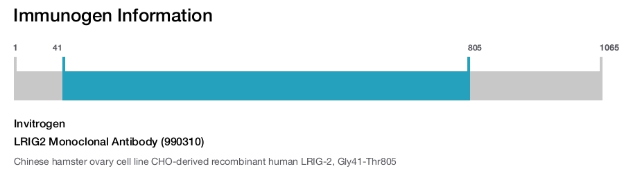 LRIG2 Monoclonal Antibody (990310)