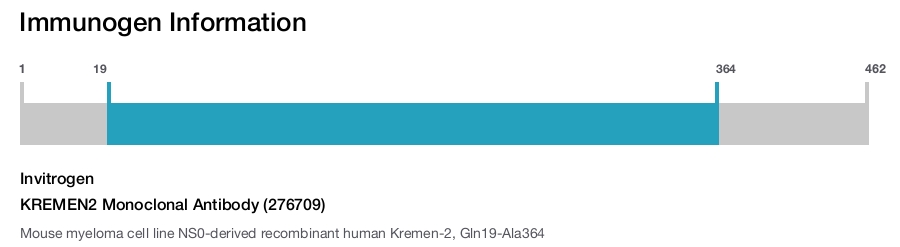 KREMEN2 Monoclonal Antibody (276709)