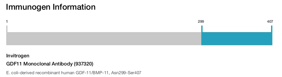 GDF11 Monoclonal Antibody (937320)