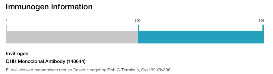 DHH Monoclonal Antibody (148644)
